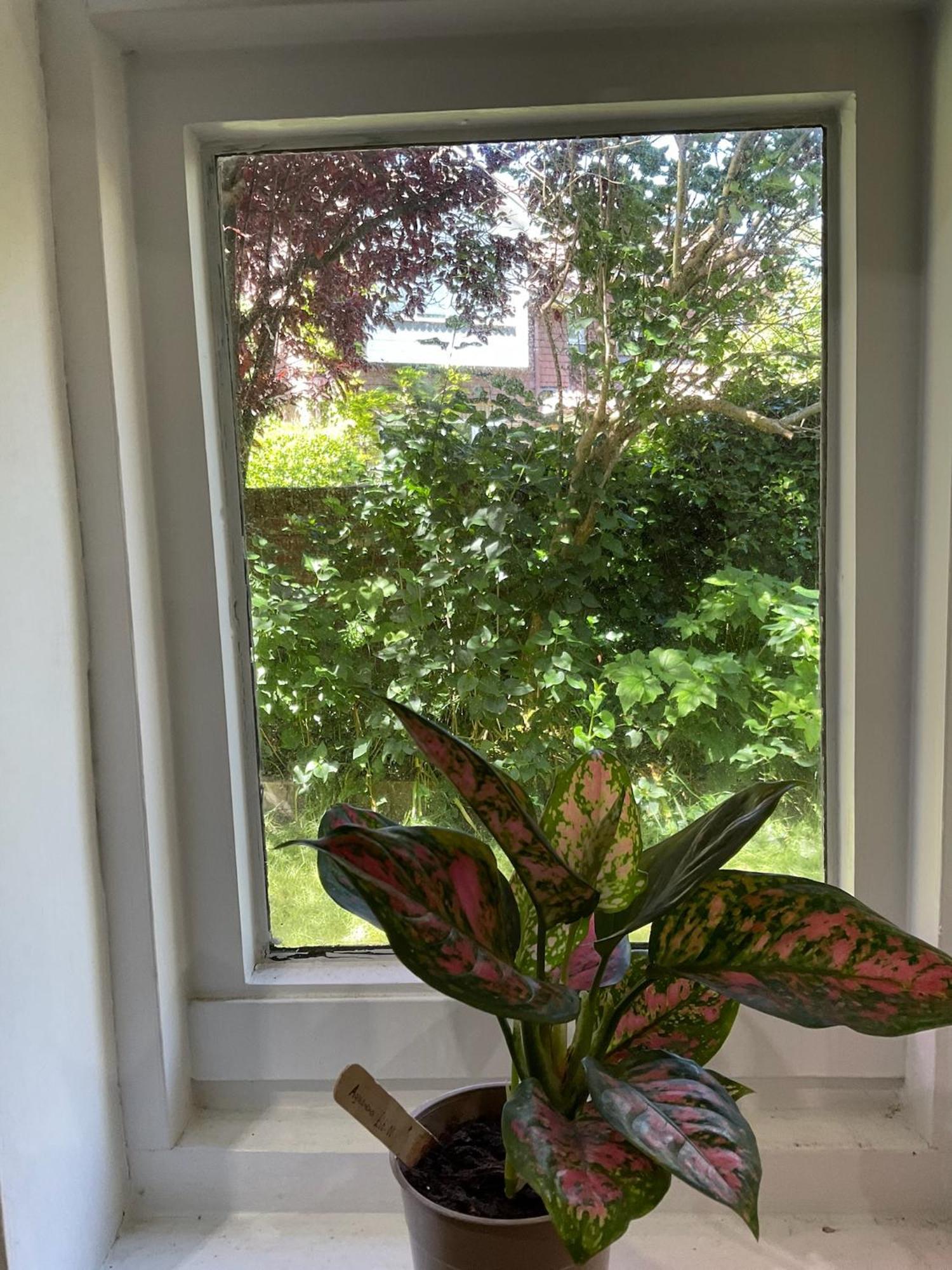 Lewes Garden Room - Free Parking Bagian luar foto
